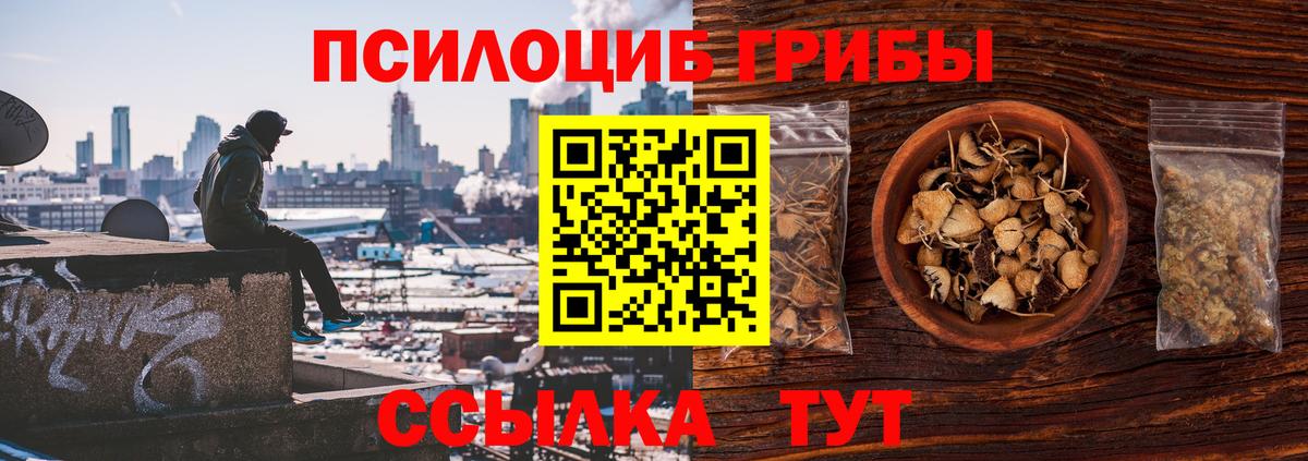 Псилоцибиновые грибы мицелий  Вход с VPN  Красногорск 